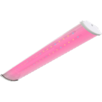 LPO Lite Agro 1200 40Вт Прозрачный поликарбонат