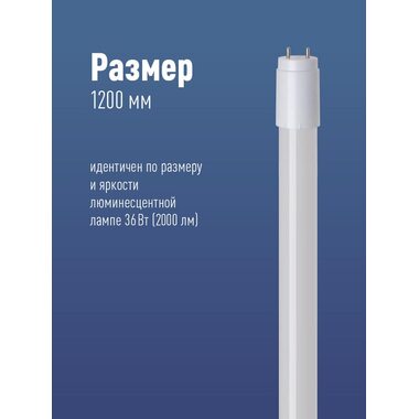 Лампа светодиодная 20Вт T8 линейная 4000К нейтр. бел. G13 220В 1200мм glass КОСМОС Lksm_LED20wG13T840GL