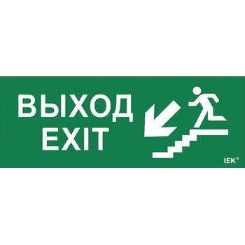 Этикетка самоклеящаяся "Выход/лестница вниз/фигура" ДПА IP20/54 IEK LPC10-1-24-09-VLVNF
