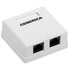 Розетка компьютерная 2-м ОП RJ45 кат.5E UTP GENERICA ITK CS2-1C5EU-22-G