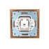 Розетка компьютерная 1-м СП Mira RJ45 зол. метал. LEZARD 701-1313-139