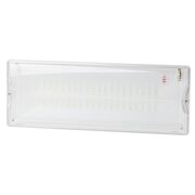 Светильник светодиодный DPA-301-0-65 40LED 3ч IP65 аварийный непостоянный Эра Б0044405