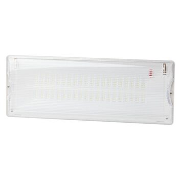 Светильник светодиодный DPA-301-0-65 40LED 3ч IP65 аварийный непостоянный Эра Б0044405