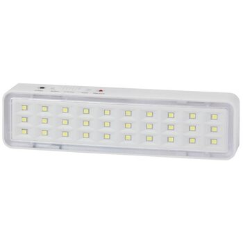 Светильник светодиодный DBA-101-0-20 30LED 5ч IP20 аварийный непостоянный Эра Б0044394