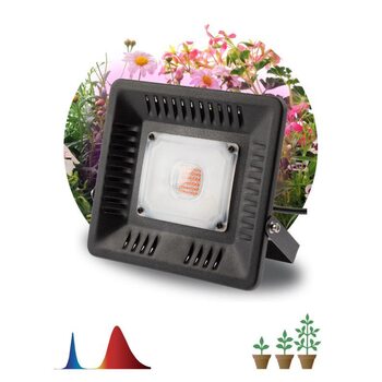 Прожектор светодиодный для растений FITO-50W-LED BLUERED 50Вт IP65 220-240В -30град. до + 45град. 30000ч для цветения и плодоношения красно-синего спектра ЭРА Б0039033