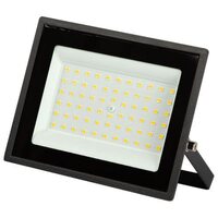 Прожектор светодиодный LPR-023-0-30K-050 50Вт 3000К 4000Лм IP65 уличный Эра Б0052859