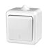Переключатель 1-кл. ОП Dita IP54 10А 250В бел. TOKOV LIGHT TKL-DT-P1-C01-IP54