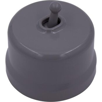 Выключатель 1-кл. (тумблерный) пластик титан Bironi B1-230-26