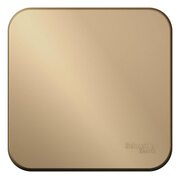 Выключатель 1-кл. ОП Blanca 10А IP20 (сх. 1) 250В с изолир. пластиной титан SchE BLNVA101014